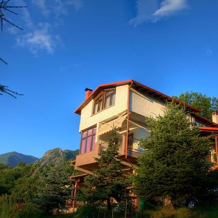 Militsa Guesthouse Naousa  Екстер'єр фото