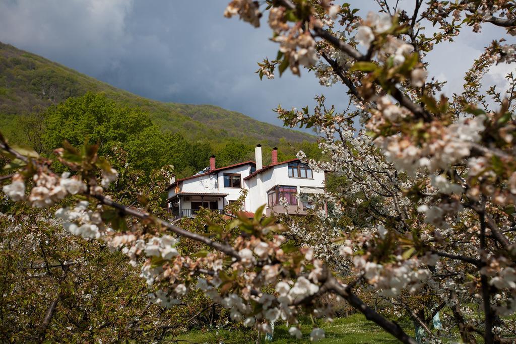 Militsa Guesthouse Naousa  Екстер'єр фото